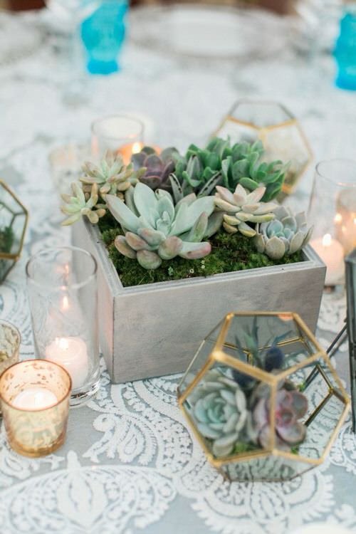 Eye-Catching Succulent Christmas Table Decoration Designs 2
