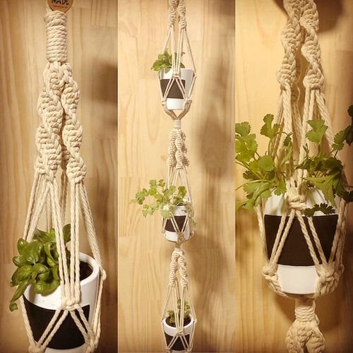 Indoor Herb Garden on Instagram 2