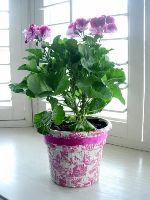 Houseplant Pot Cover Ideas 2