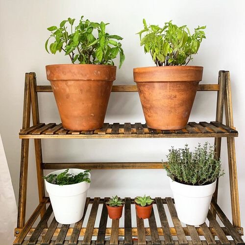 Indoor Herb Garden on Instagram 24