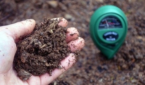 DIY Soil Tests You Can Perform at Home 3