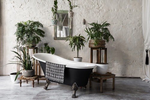 Pin Worthy Houseplant Pictures 29