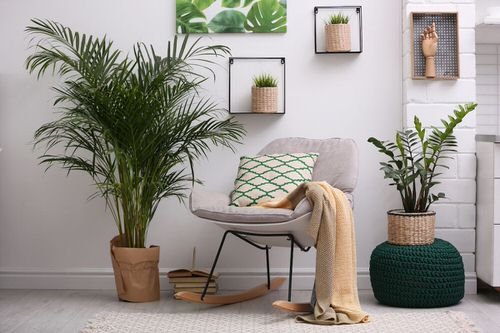 Décor Ideas with Indoor Palms 3