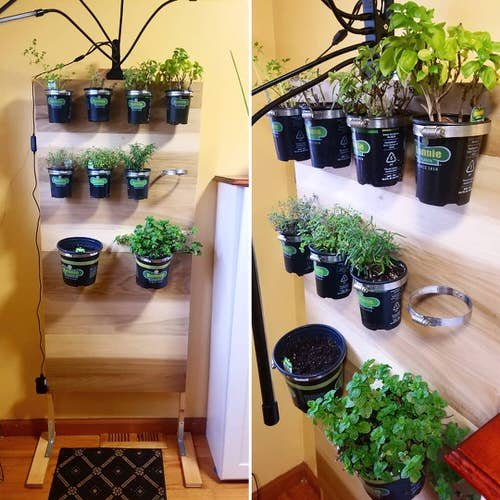 Indoor Herb Garden on Instagram 3