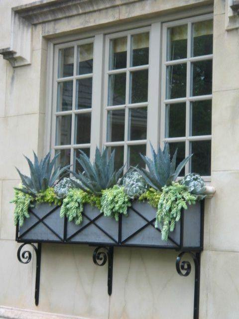 Succulent Window Box Ideas 5