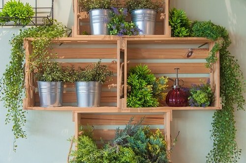 Plant Shelves Ideas 4