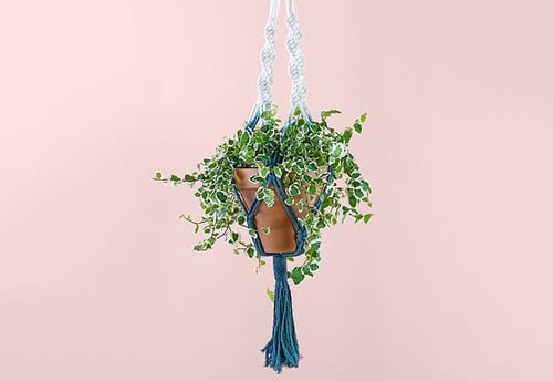 DIY Plant Hanger Ideas 4