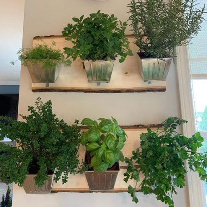 50 Indoor Herb Gardens on Instagram | Balcony Garden Web