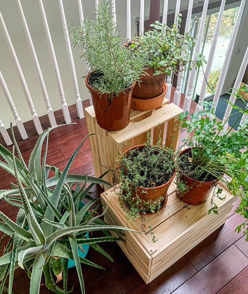 Indoor Herb Garden on Instagram 5