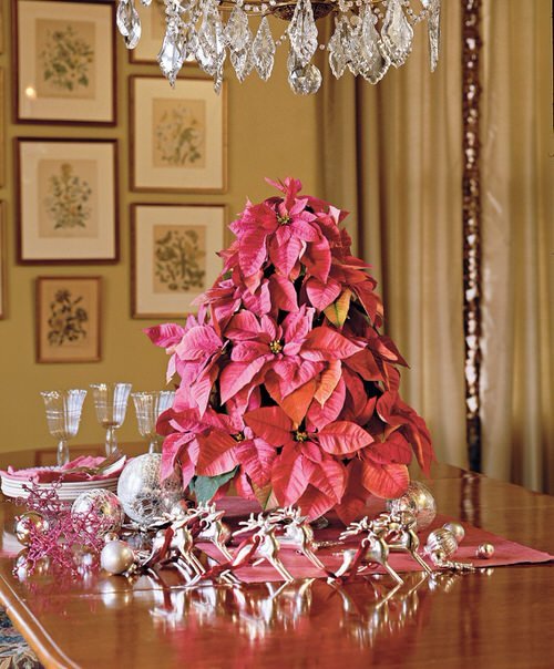 Ideas to Decorate your Home with Poinsettias 7
