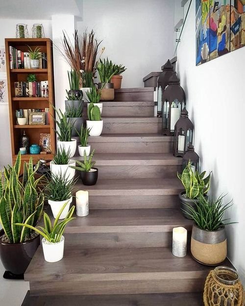 Indoor Garden on the Staircase 23