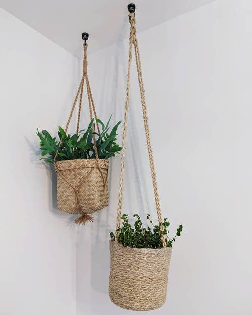 Hanging Strings Plant Ideas 26
