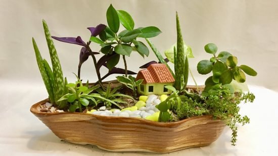 Tiny Tabletop Garden Ideas 7