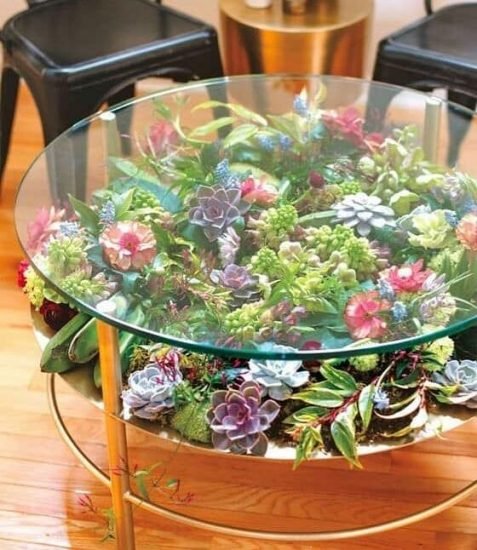Tiny Tabletop Garden Ideas 9