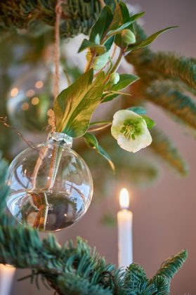 20 Spectacular Christmas Décor Ideas With Plants | Balcony Garden Web