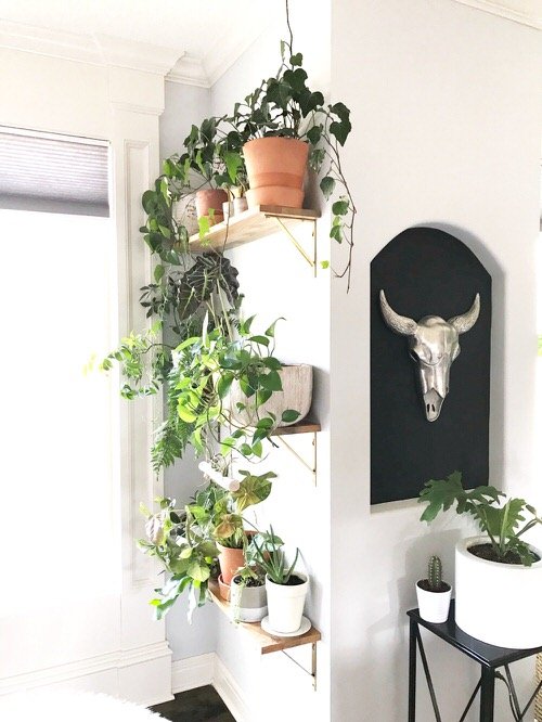 DIY Indoor Plant Shelves Ideas 5