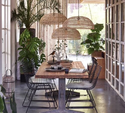 Indoor Plants Dining Room Décor Ideas 20