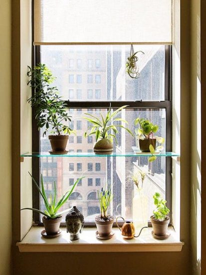 26 Practical Indoor Window Shelf Ideas for Plants