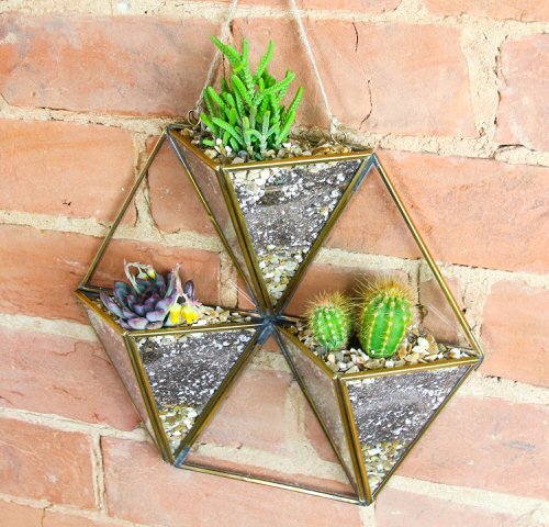 These Pictures Prove You Can Plant Succulent Anywhere 6