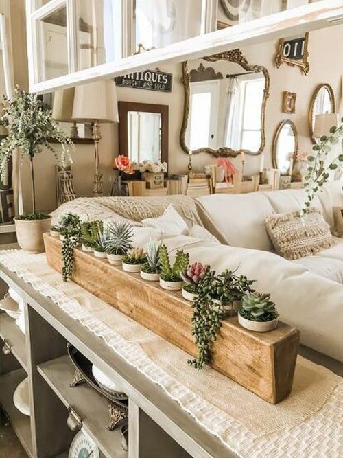 Extremely Beautiful Drawing Room Décor Ideas with Succulents 6