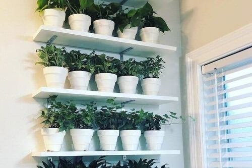DIY Indoor Plant Shelves Ideas 6
