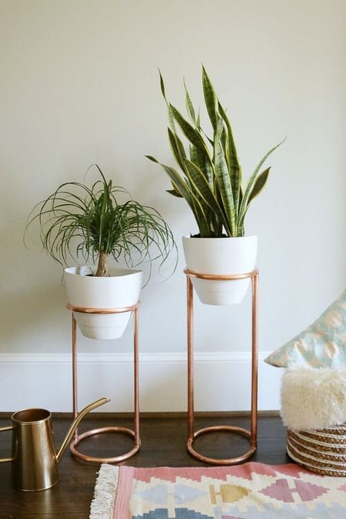 Plant Stand Design Ideas for Indoor Houseplants 7