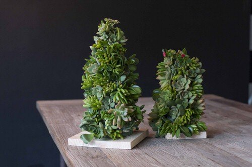 Succulent Christmas Trees 4