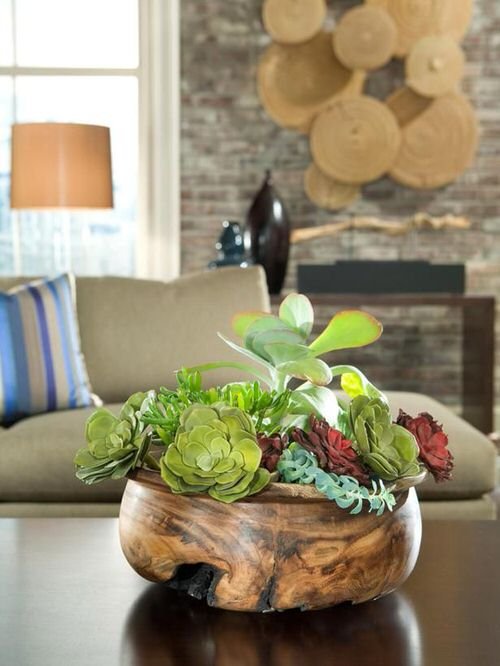 Extremely Beautiful Drawing Room Décor Ideas with Succulents 7