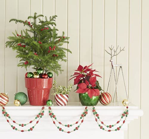 Potted Christmas Tree Pictures to Win Your Heart 8
