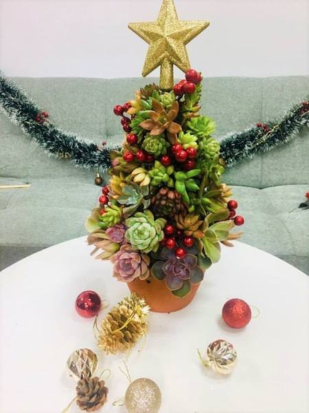 Christmas Tree with Succulents, Ornaments, and Baubles