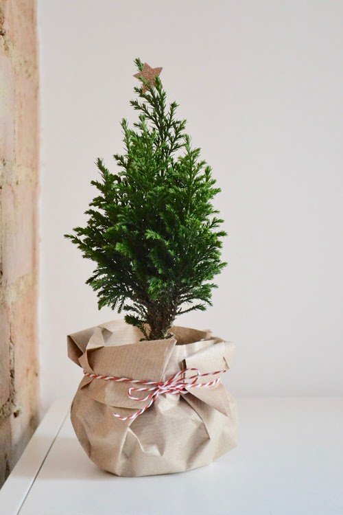 DIY Plant Gift Ideas for Christmas 12