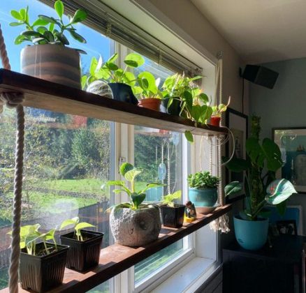 26 Practical Indoor Window Shelf Ideas for Plants