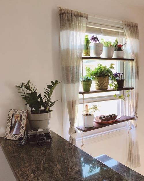 Indoor Window Shelf Ideas for Plants 8