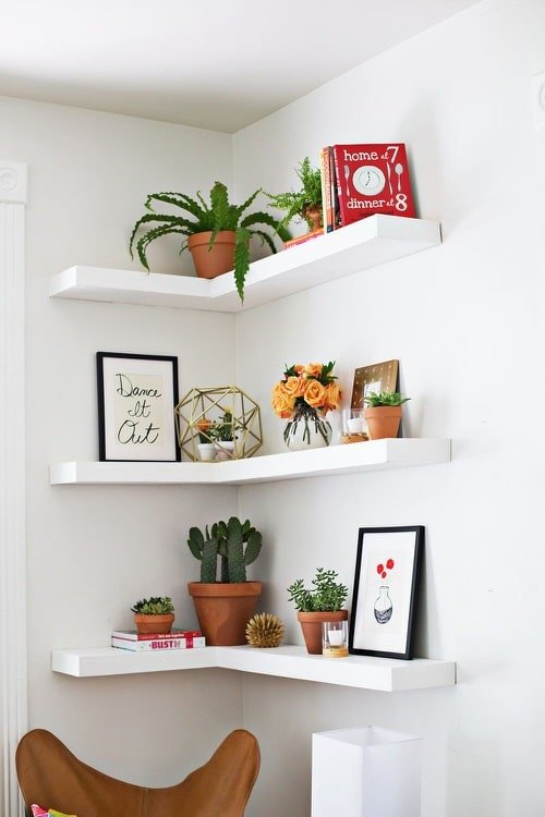 DIY Indoor Plant Shelves Ideas 8