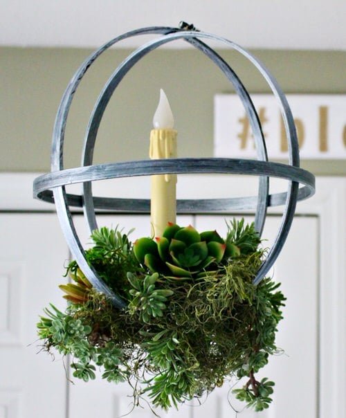 DIY Plant Gift Ideas for Christmas 12