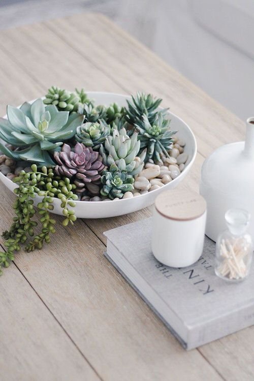 Extremely Beautiful Drawing Room Décor Ideas with Succulents 9
