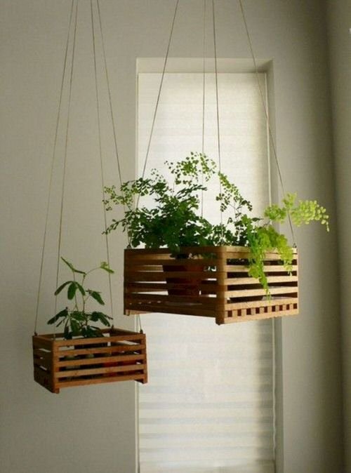 Clever Ways to Hang Your Plants 9