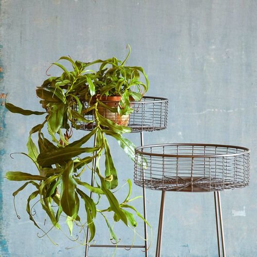 Plant Stand Design Ideas for Indoor Houseplants 10
