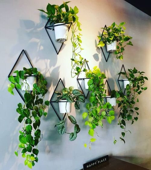 Artistic Plant Wall Art Ideas for Home Décor10