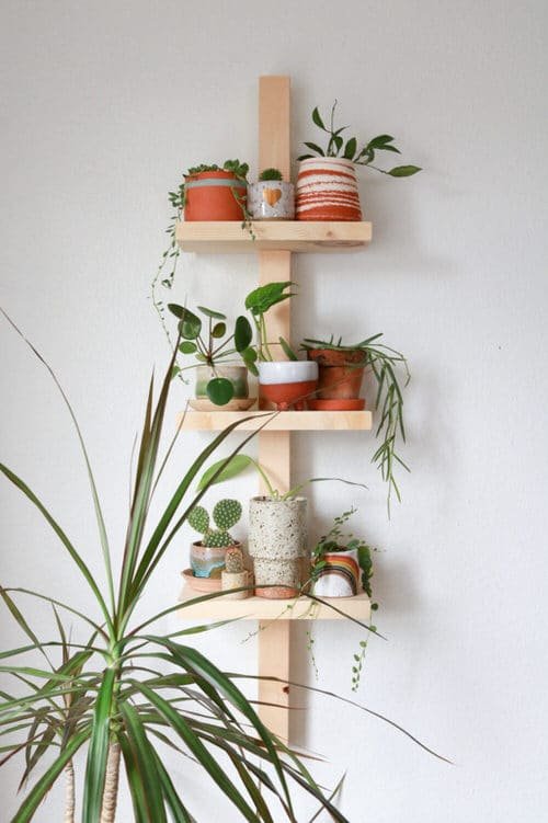 DIY Indoor Plant Shelves Ideas