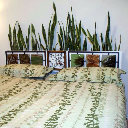 Plant Headboard Ideas for Ultimate Houseplant Lovers