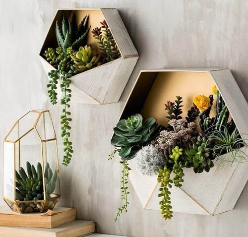 Artistic Plant Wall Art Ideas for Home Décor