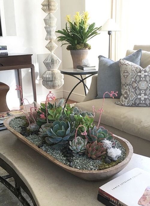 Extremely Beautiful Drawing Room Décor Ideas with Succulents
