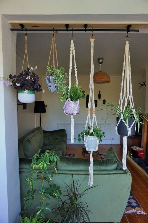 Clever Ways to Hang Your Plants 12