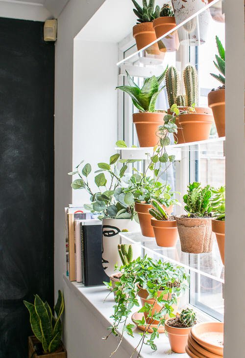 DIY Indoor Plant Shelves Ideas 9