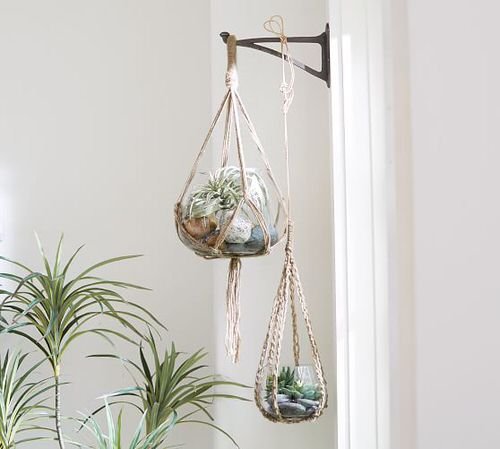 Clever Ways to Hang Your Plants 11