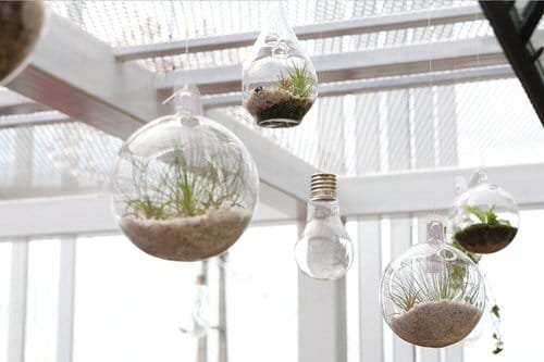 Clever Ways to Hang Your Plants 13