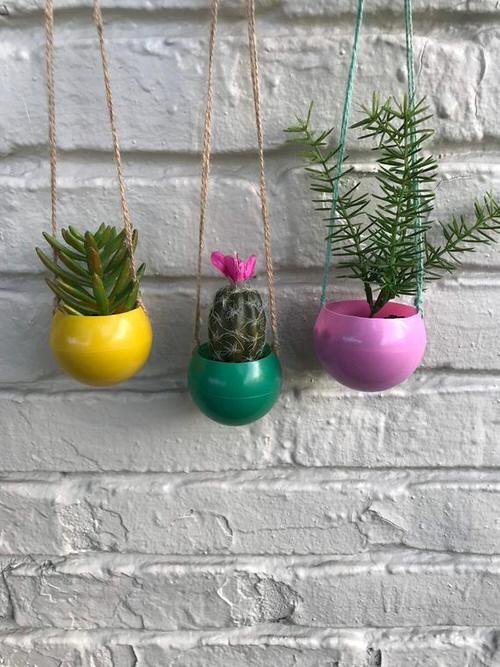 30 Clever Ways to Hang Plants