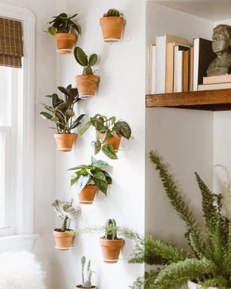 28 Artistic Plant Wall Art Ideas for Home Décor | Balcony Garden Web