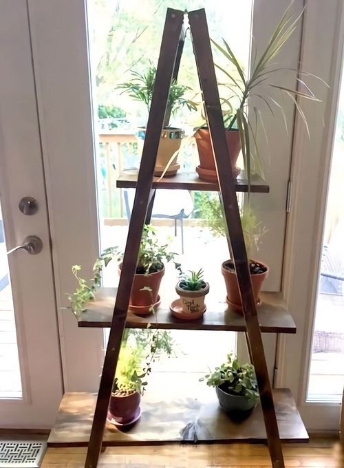 DIY Indoor Plant Shelves Ideas 2